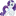 Peltarius