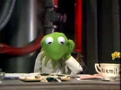 410 kermit backstage