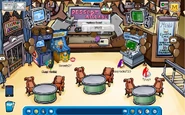 Brown puflfle room