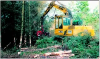 Hymac forest