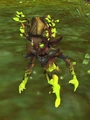 AmberleafScamp.jpg