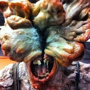 The infected's face