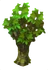 Chestnut Tree