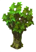 Chestnut Tree