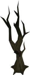 Burnt tree