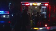 PLL225-01136