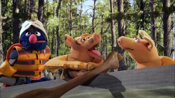 SG-Pigs02