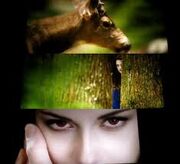 Eat bella eat!