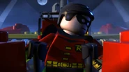 Robin bs