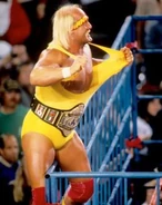 Steel Cage Images.2