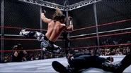 Steel Cage Images.20