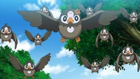 Starly anime