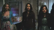 Spencer31