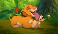 Simba and Timon in Real Life 1