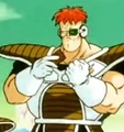 Recoome31