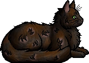 Mothwhisker.elder