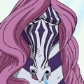 Minozebra portrait