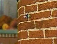 The Fly