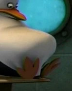Skipper's Gut