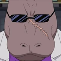 HippoBoss