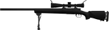P4FM24MODEL