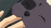 Arthurbiting