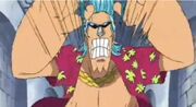 Franky Triangle Jacker