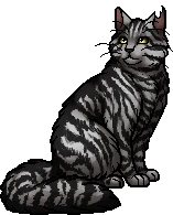 Bumblestripe.warrior.png