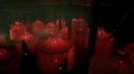 IslandofDreams tents