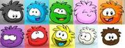 All puffles