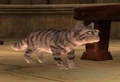 Tabby Cat (McGonagall).JPG
