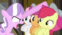 Diamond Tiara ordering the CMC S2E23