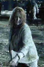 Walker agresor de Carol 2.jpg