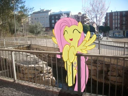 008 - Railing