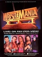 WM 12 poster