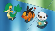 Unova starters anime