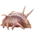 Item seapig 01