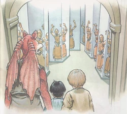 Hall of mirrors