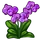 Purple Orchid-icon