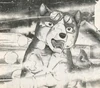 Gin5