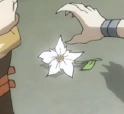 685px-Tygra cheetara flower 2.png (17 KB) 685px-Tygra cheetara flower 2