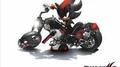 Never Turn Back by Crush 40 (Closing Theme of Shadow the Hedgehog)
