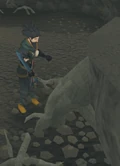 Chopping cursed roots.png