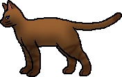 20120623045218%21Sasha.rogue.png