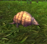 Pangolin