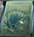 WinograndsWondrousWaterPlants.jpg