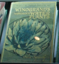 WinograndsWondrousWaterPlants