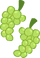 PonyMaker Grapes