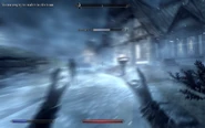 Blizzard(first person)
