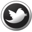 @OneDirection - Twitter